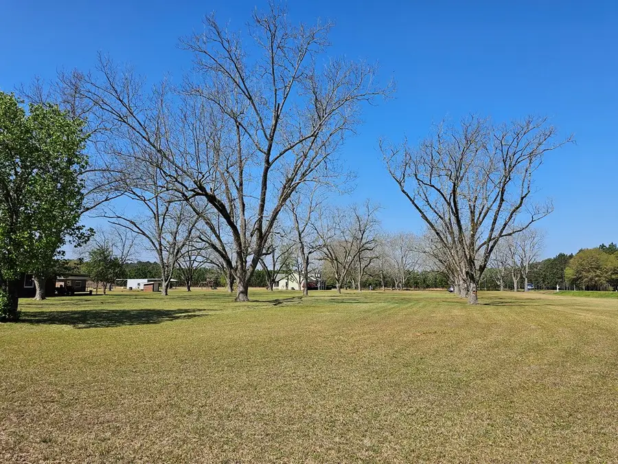 8369 Graves Hwy, Shellman, GA 39886 - #2