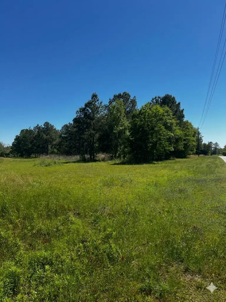 Address Withheld By Seller, Americus, GA 31709 - #2