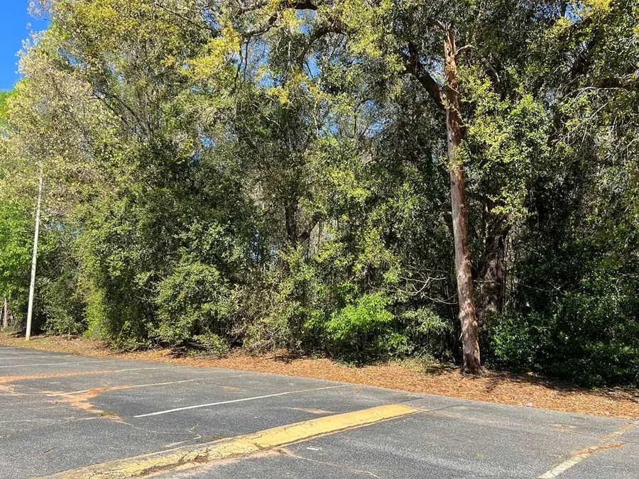 312 Pinson Road, Albany, GA 31705 - #3