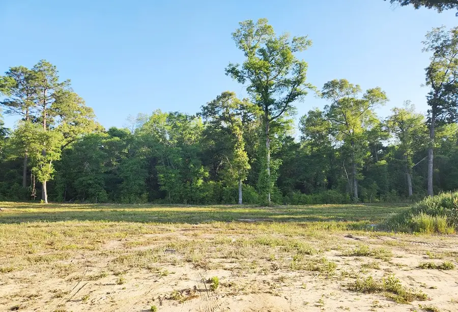 110 Sawtooth Drive, Leesburg, GA 31763 - #3