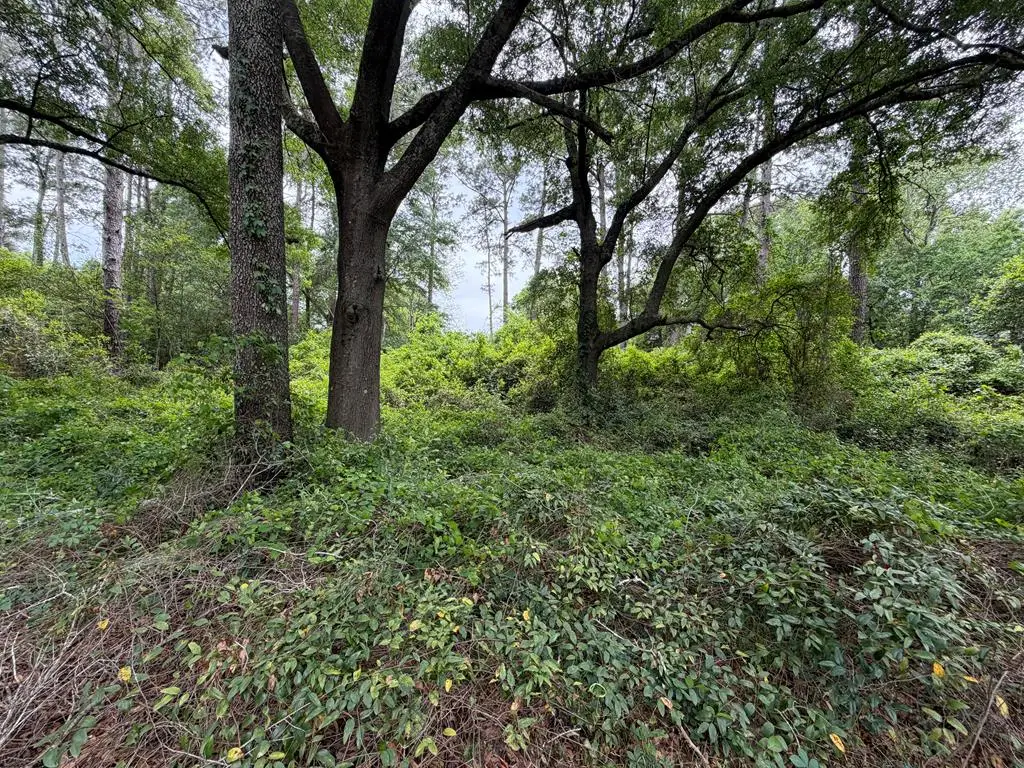 610 Bobbit Drive, Albany, GA 31705 - #1
