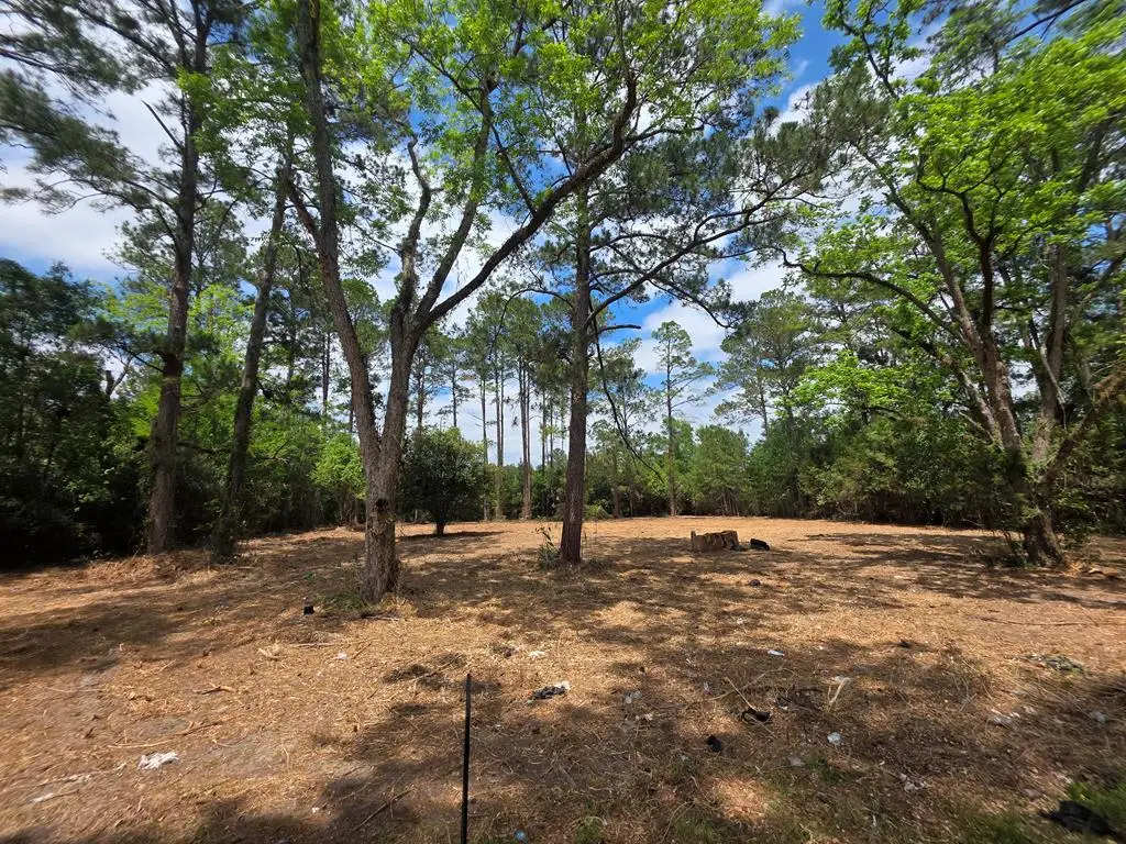 655 NE 12th Avenue, Cairo, GA 39828 - #1