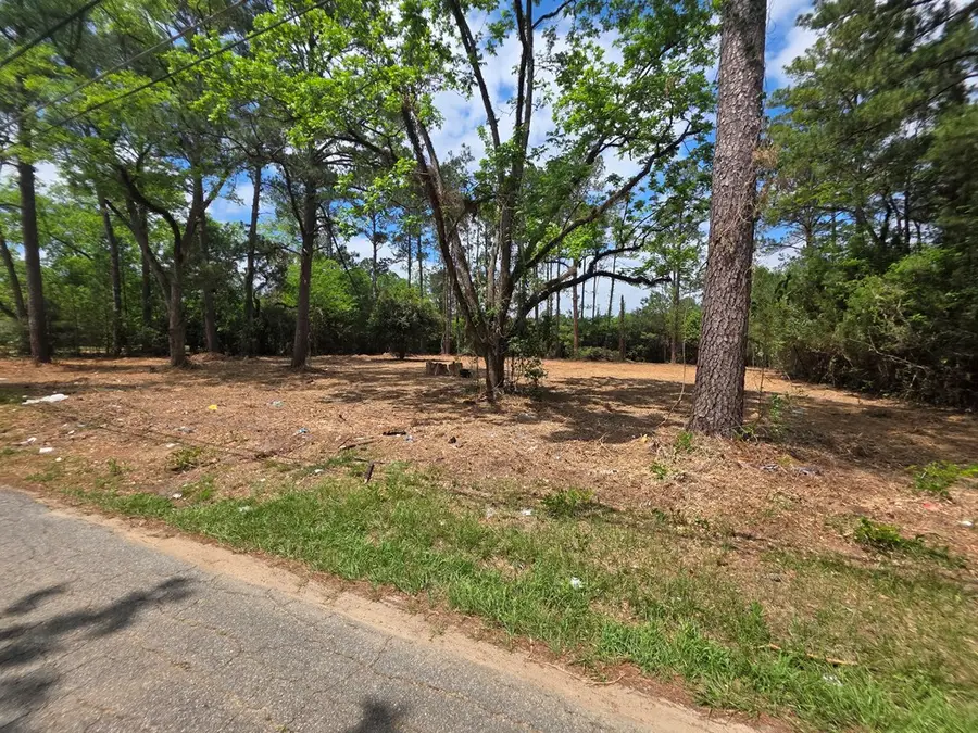 655 NE 12th Avenue, Cairo, GA 39828 - #2