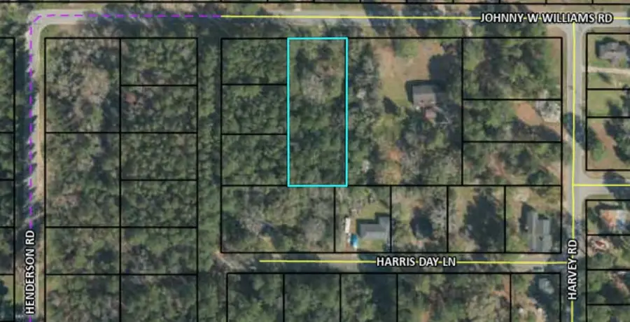 710 Johnny W Williams Road, Albany, GA 31701 - #2