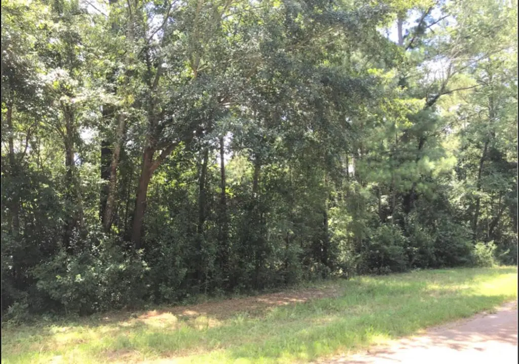 6 Joiner Drive, Albany, GA 31721 - #1