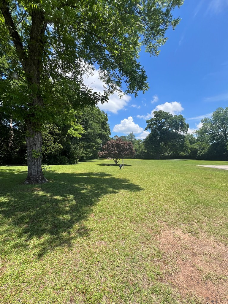 3468 Pearl Street, Shellman, GA 39886 - #2