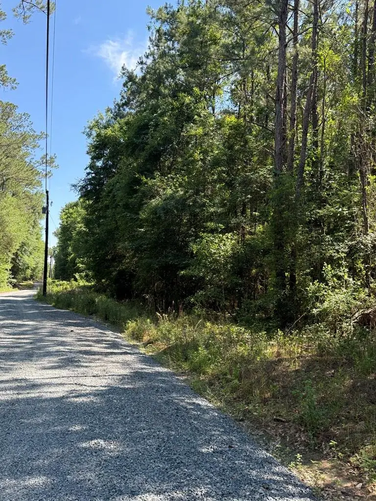 000 Appian Way, Baconton, GA 31716 - #2