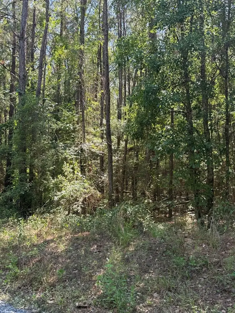 000 Appian Way, Baconton, GA 31716 - #3