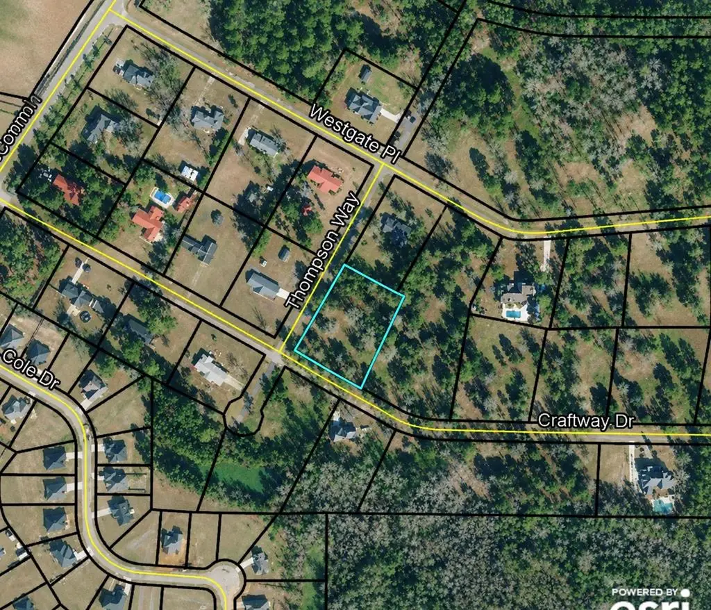 47 Craft Way Drive, Hawkinsville, GA 31036 - #1