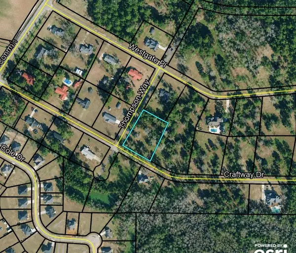 47 Craft Way Drive, Hawkinsville, GA 31036