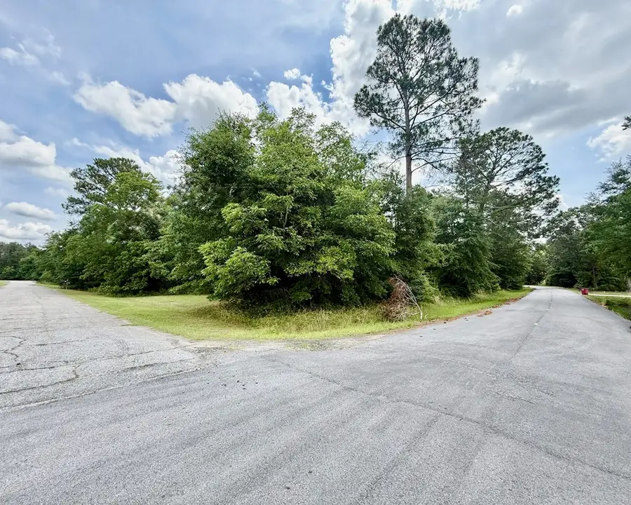 47 Craft Way Drive, Hawkinsville, GA 31036 - #2