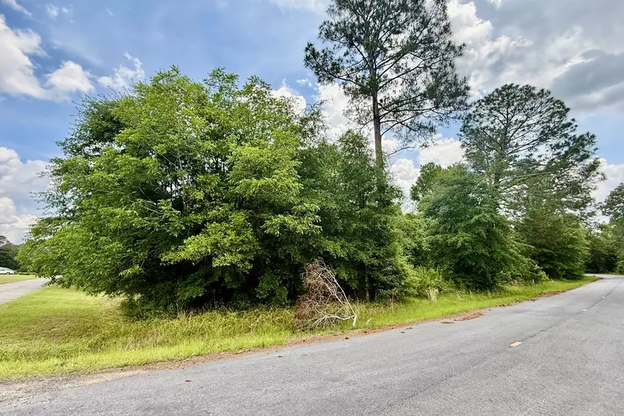 47 Craft Way Drive, Hawkinsville, GA 31036 - #3
