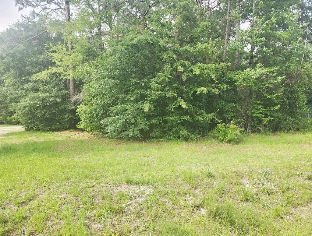 164 Park Place, Sylvester, GA 31791 - #1