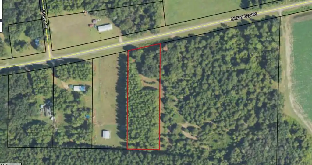 2160 Dickey Bypass, Morgan, GA 39866 - #1