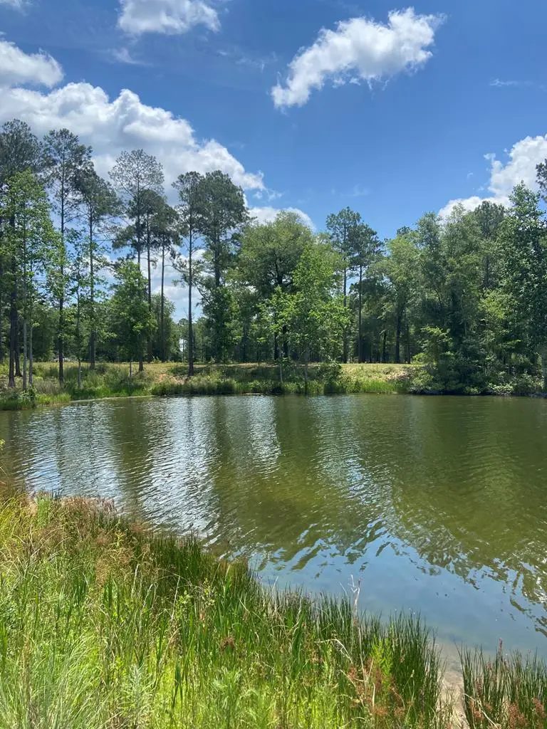 743&751 Northampton Road, Leesburg, GA 31763 - #2