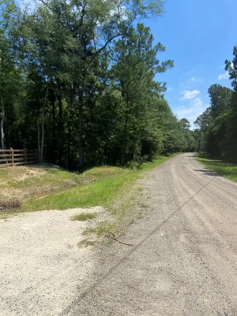 743&751 Northampton Road, Leesburg, GA 31763 - #3