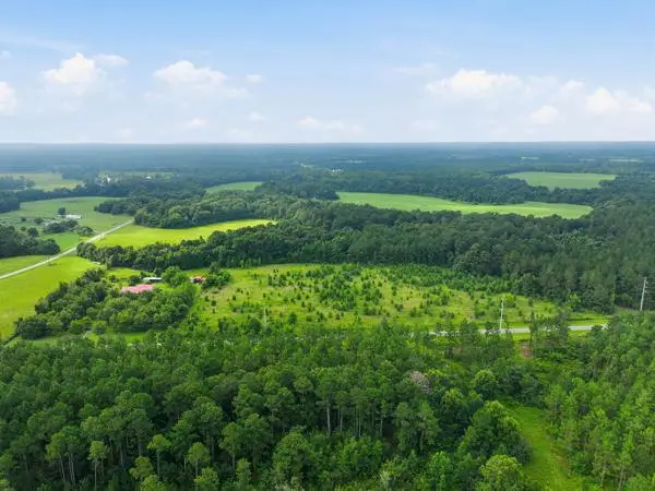 n/a Holman Road, Leslie, GA 31764 - #1