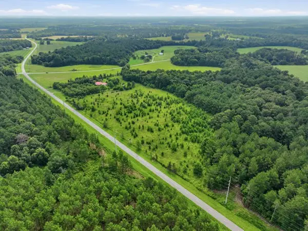 n/a Holman Road, Leslie, GA 31764 - #2