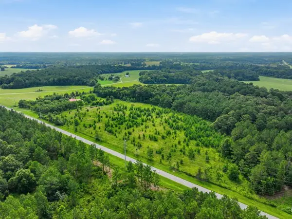 n/a Holman Road, Leslie, GA 31764 - #3