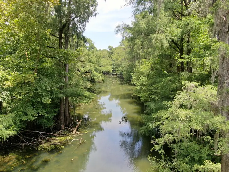 219 Skywater Blvd, Albany, GA 31705 - #3