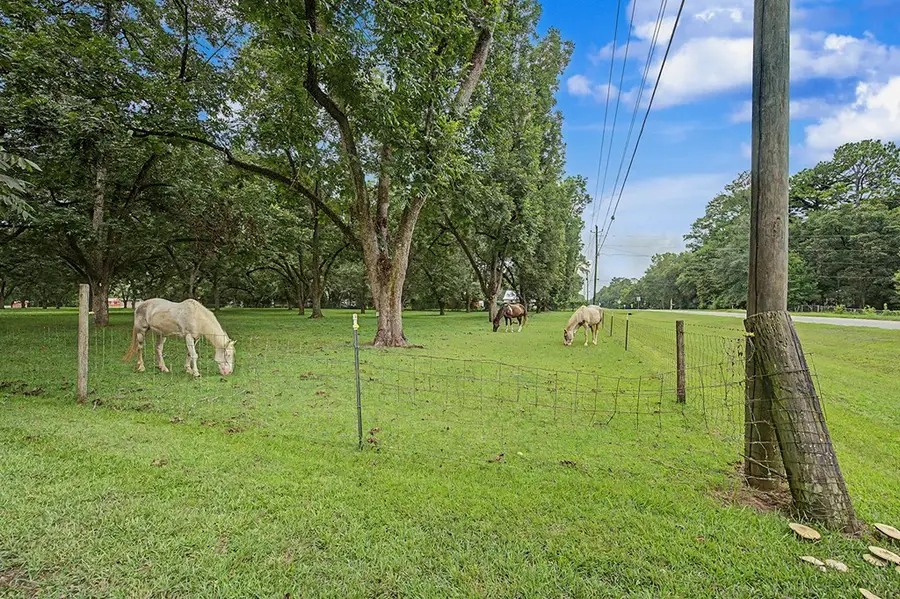 4228 Nichols St, Albany, GA 31705 - #3