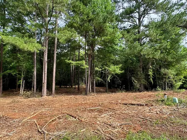 Lot 413 Willow Lake Drive, Leesburg, GA 31763