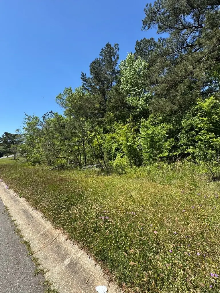 Lot 413 Willow Lake Drive, Leesburg, GA 31763 - #2