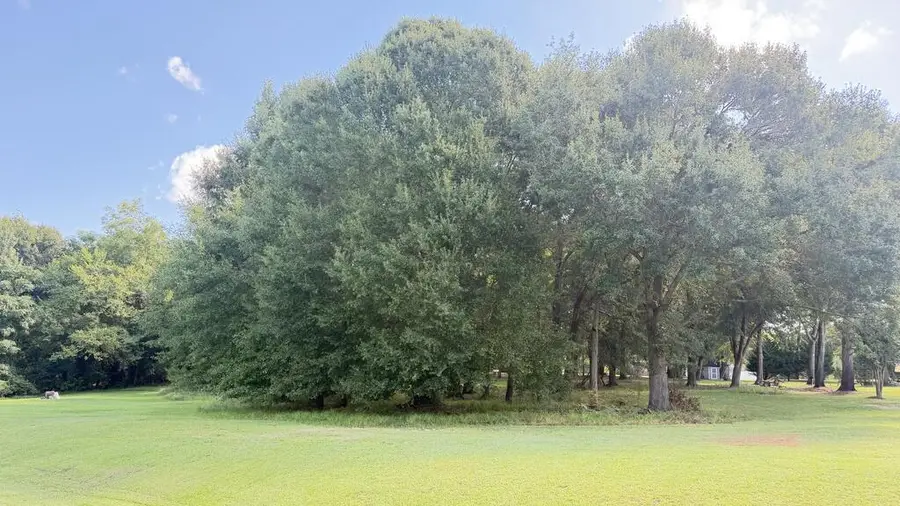 Lot 37 Delores Drive, Leesburg, GA 31763 - #2