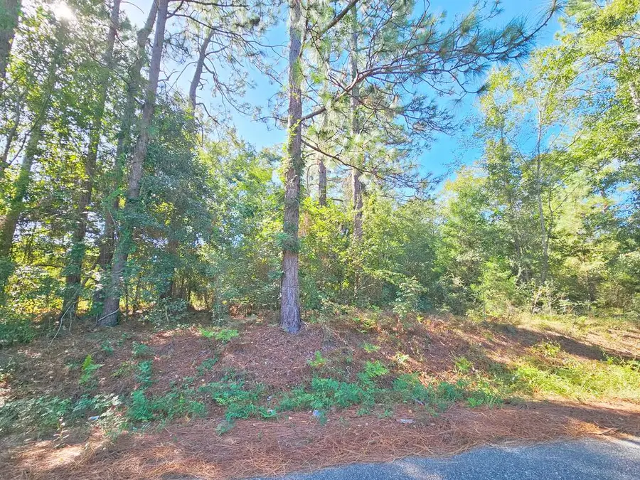 6114 Poplar Road, Albany, GA 31705 - #2
