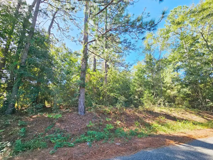 6114 Poplar Road, Albany, GA 31705 - #3