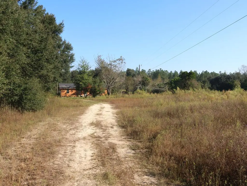 841 Bogan Road, Newton, GA 39870 - #1