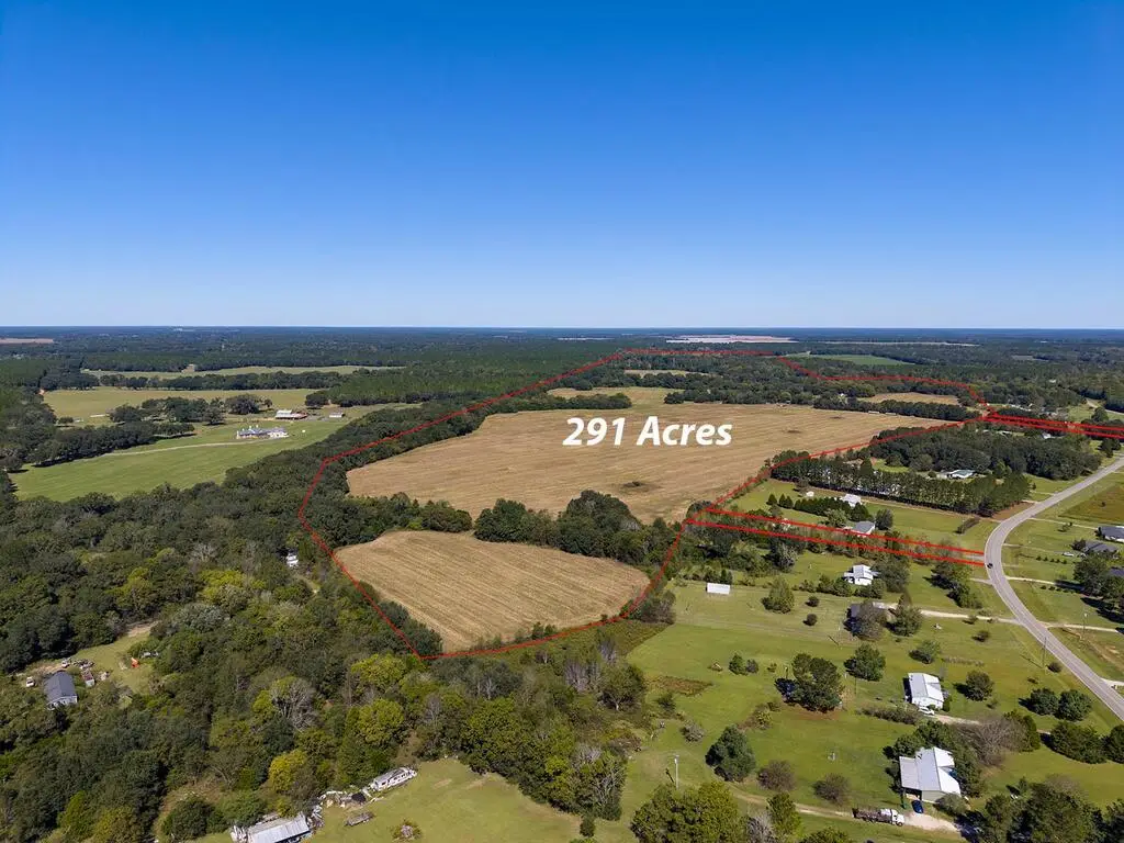 810 Armena Road, Leesburg, GA 31763 - #1