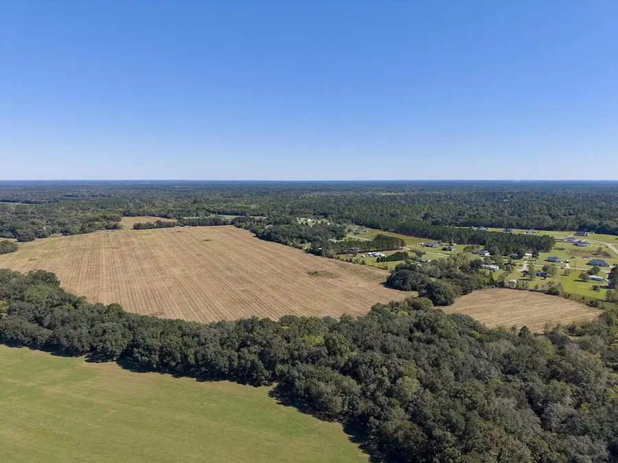 810 Armena Road, Leesburg, GA 31763 - #2