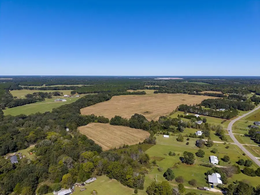 810 Armena Road, Leesburg, GA 31763 - #3