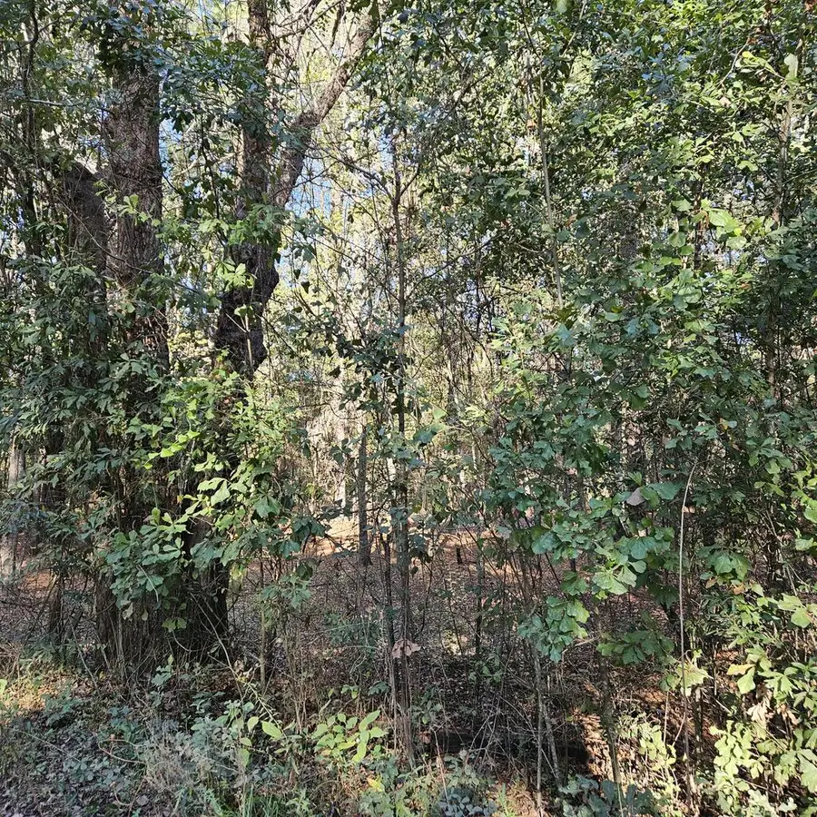000 Flowing Well Road, Leesburg, GA 31763 - #2