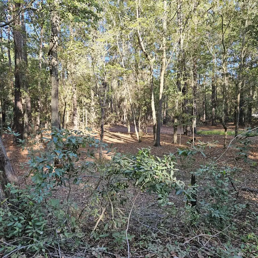 000 Flowing Well Road, Leesburg, GA 31763 - #3