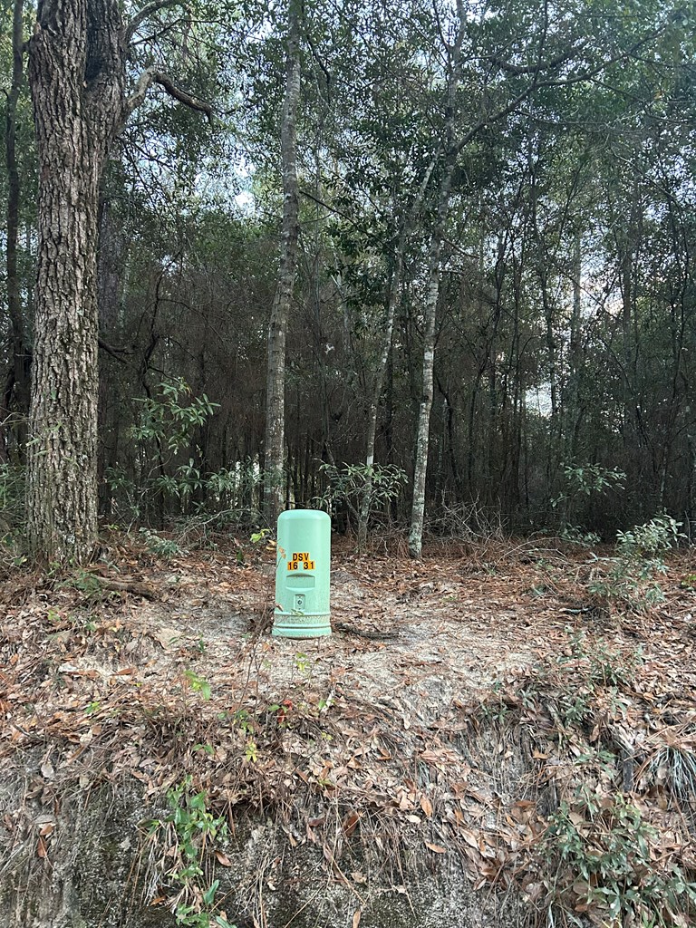 #3