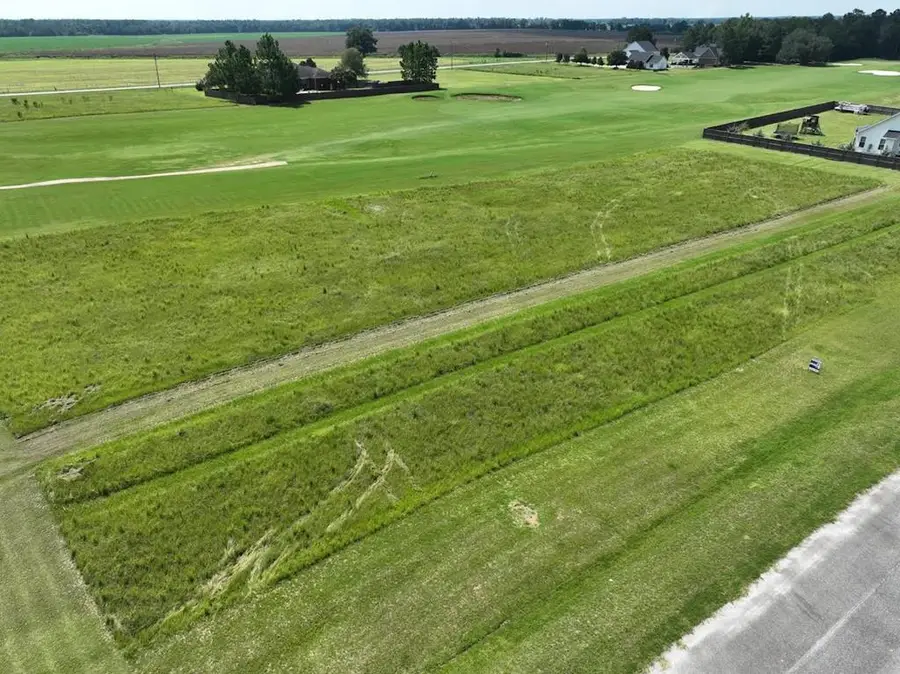 113 Crooked Oak Ln, Colquitt, GA 39837 - #3