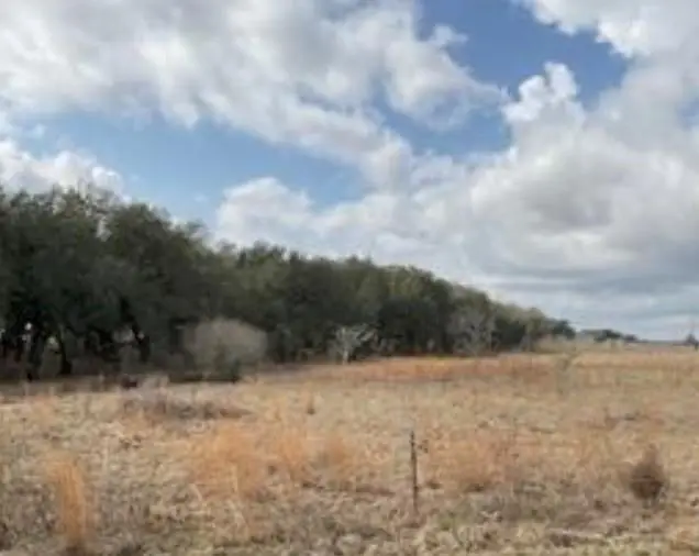 0 Johnny Freeman Road, Colquitt, GA 39837 - Image #3