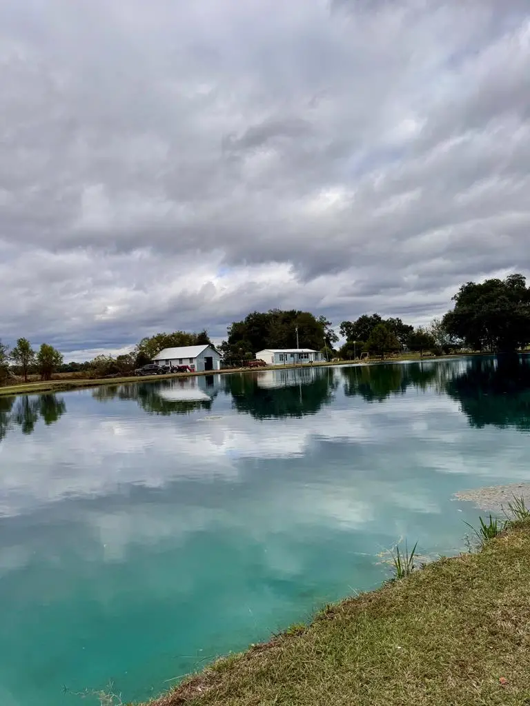 7268 Lodgetown Road, Pelham, GA 31779 - Image #1