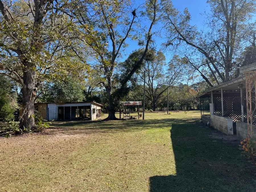 169 Rosencrantz, Cairo, GA 39828 - Image #3