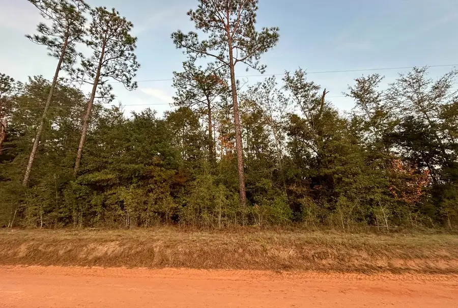 11,12,13 Paradise Circle, Donalsonville, GA 39845 - Image #2