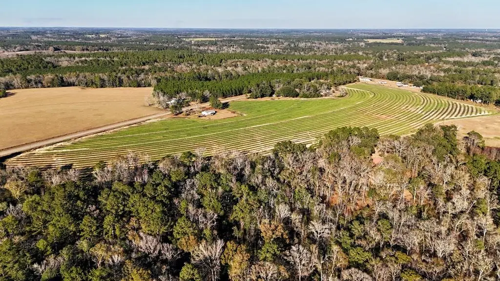 00 Tired Creek Rd., Whigham, GA 39897 - Image #1