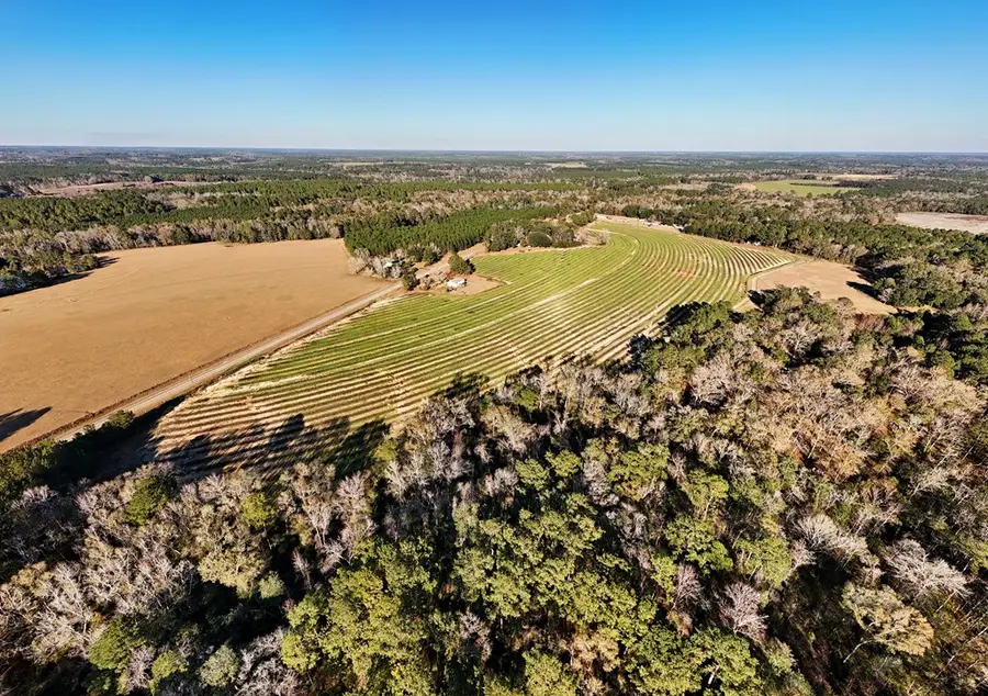 00 Tired Creek Rd., Whigham, GA 39897 - Image #2