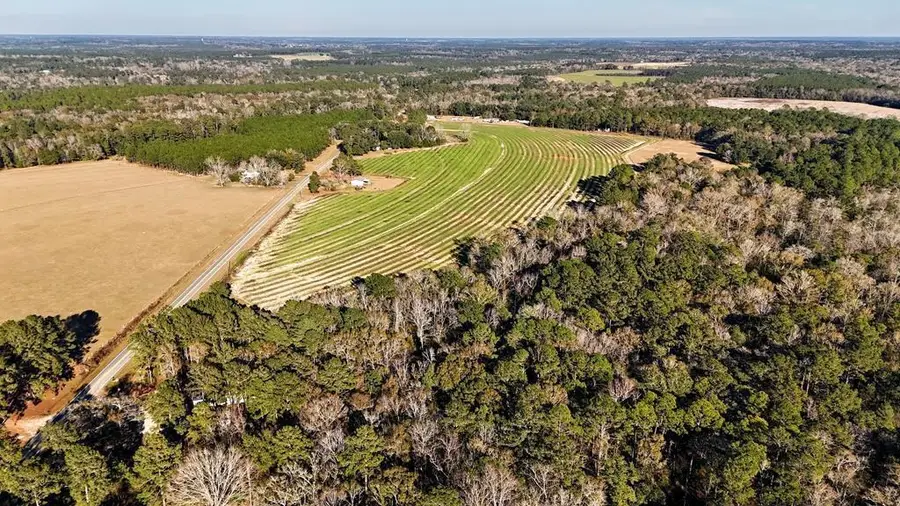 00 Tired Creek Rd., Whigham, GA 39897 - Image #3