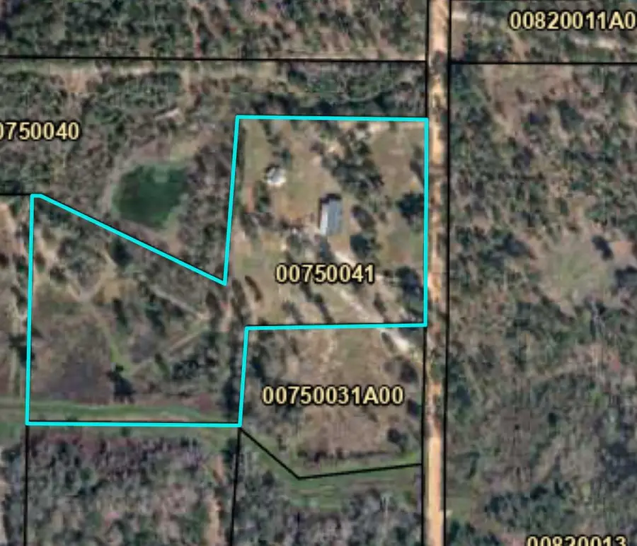 317 Palmer Rd, Bainbridge, GA 39819 - Image #2