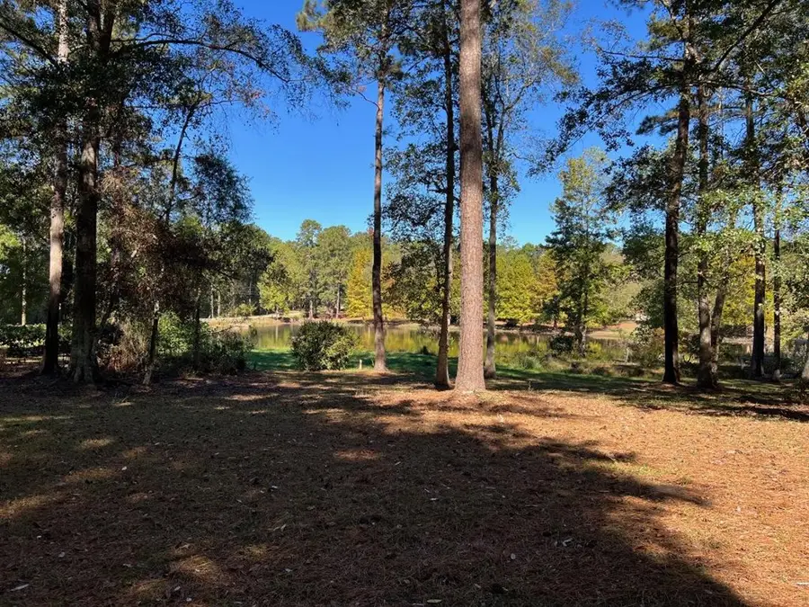 3055 Hadley Ferry Road, Cairo, GA 39828 - Image #3