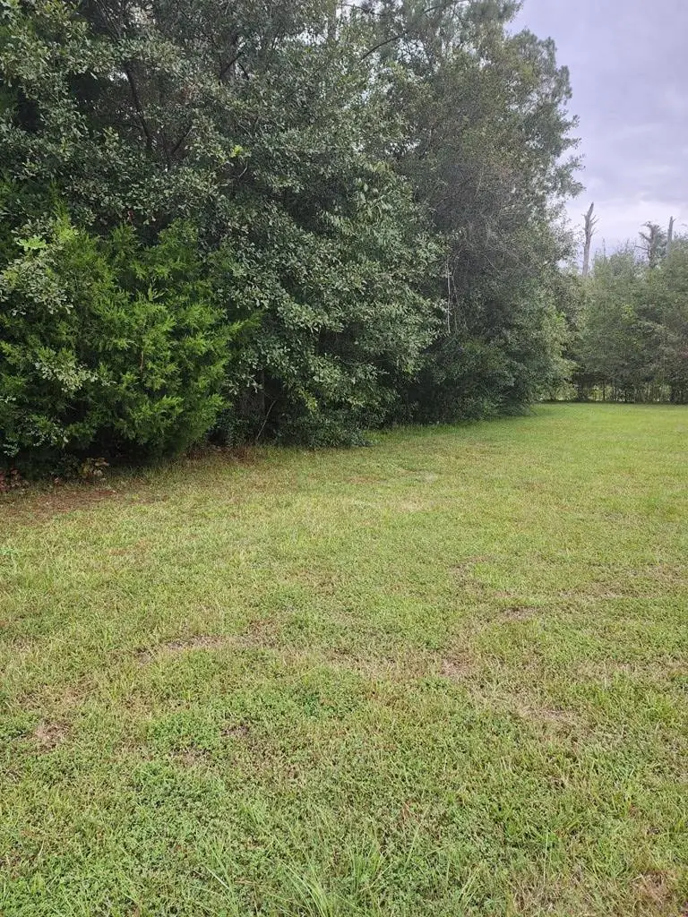2928 Sportsman Rd, Donalsonville, GA 39845 - Image #2