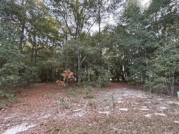 Lot 31 Marie Lane, Bainbridge, GA 39817
