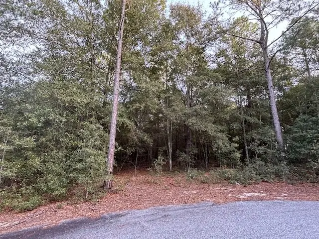 Lot 31 Marie Lane, Bainbridge, GA 39817 - Image #3